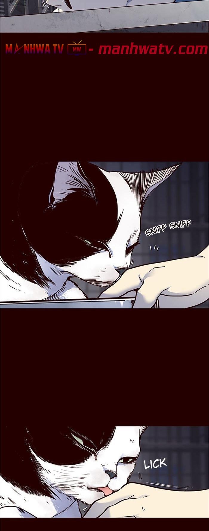 Đọc truyện Hoá thân thành mèo - Chap 36