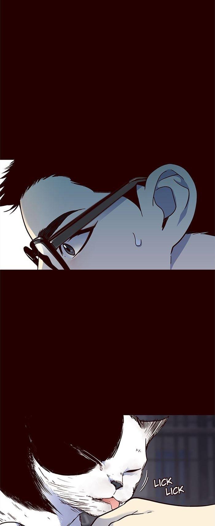 Đọc truyện Hoá thân thành mèo - Chap 36