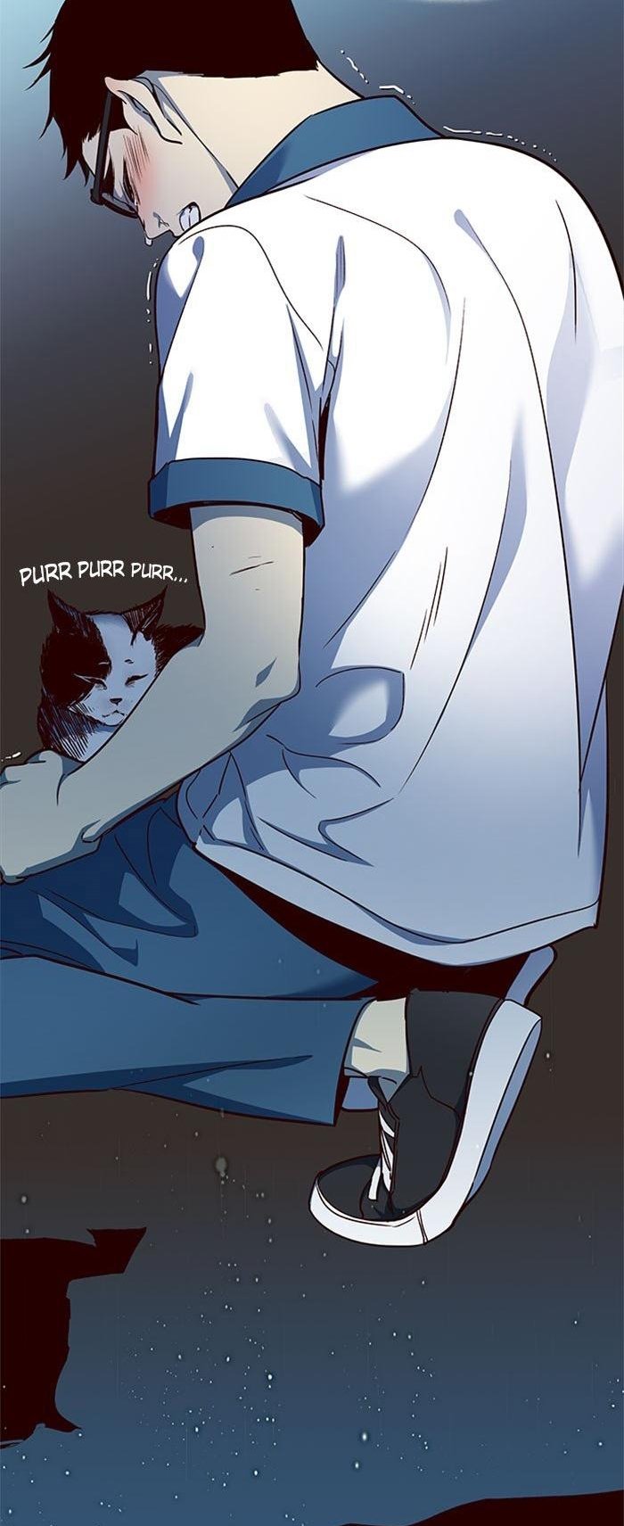 Đọc truyện Hoá thân thành mèo - Chap 36