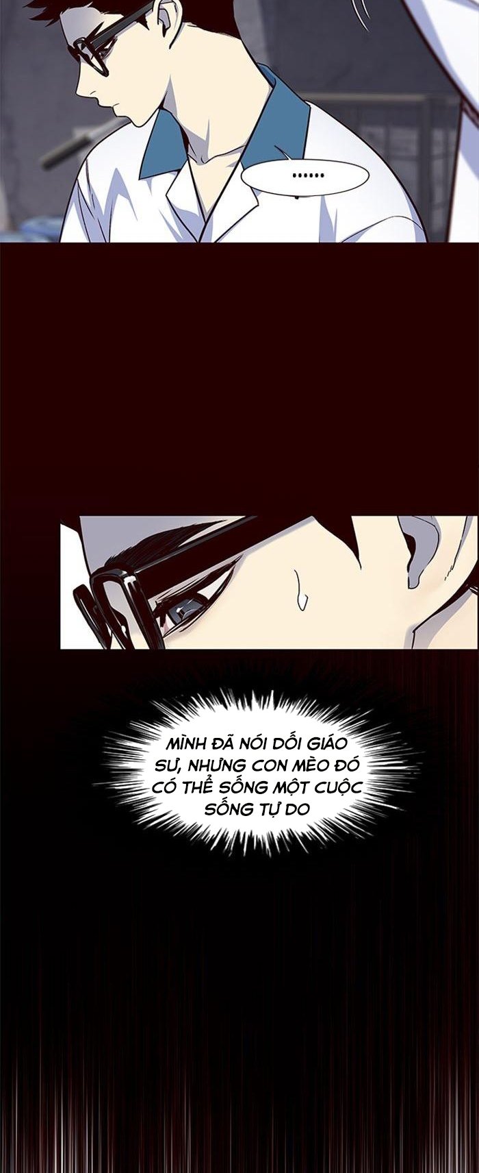 Đọc truyện Hoá thân thành mèo - Chap 36