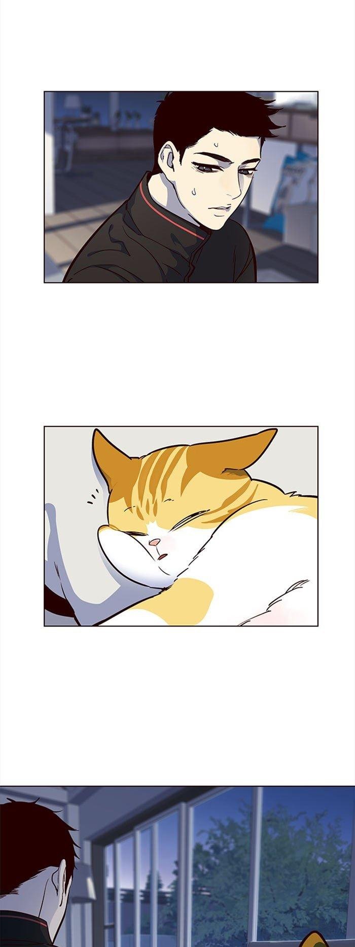 Đọc truyện Hoá thân thành mèo - Chap 36