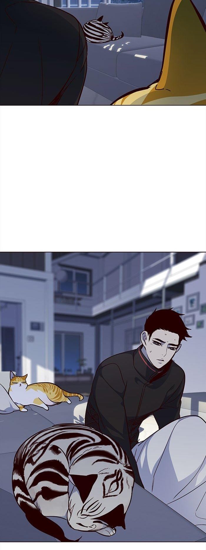 Đọc truyện Hoá thân thành mèo - Chap 36