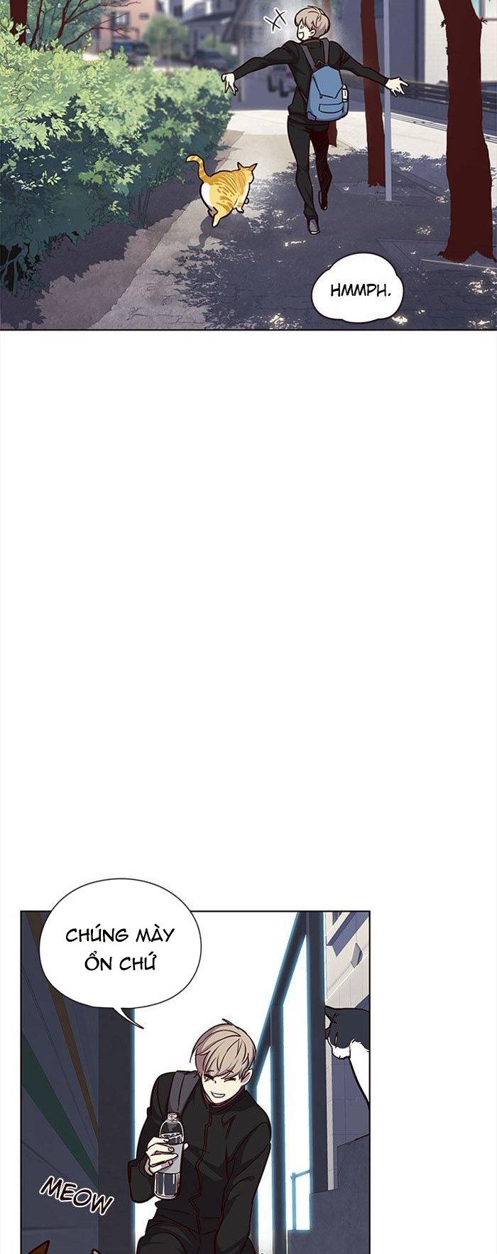 Đọc truyện Hoá thân thành mèo - Chap 36