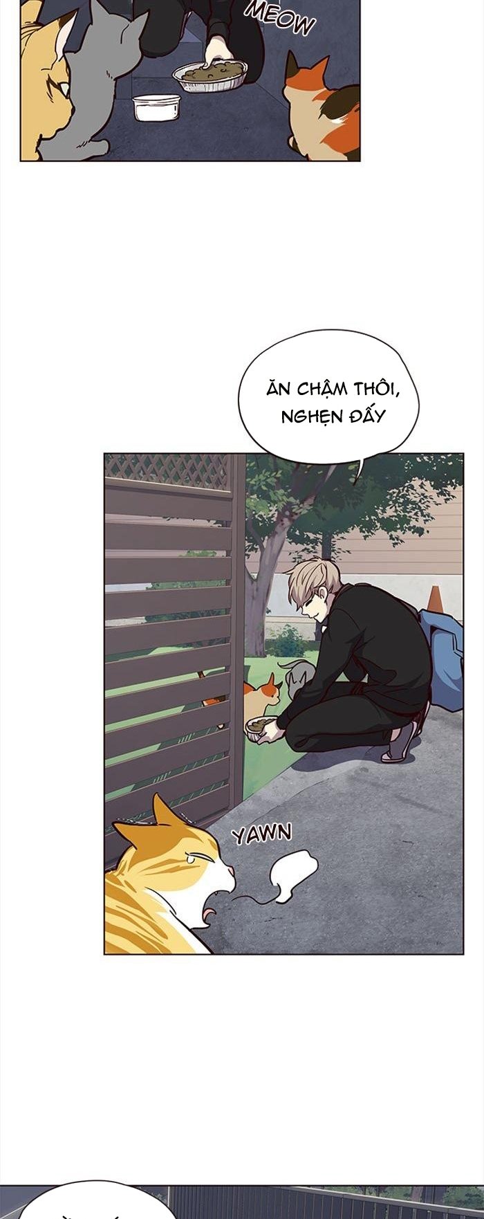 Đọc truyện Hoá thân thành mèo - Chap 36