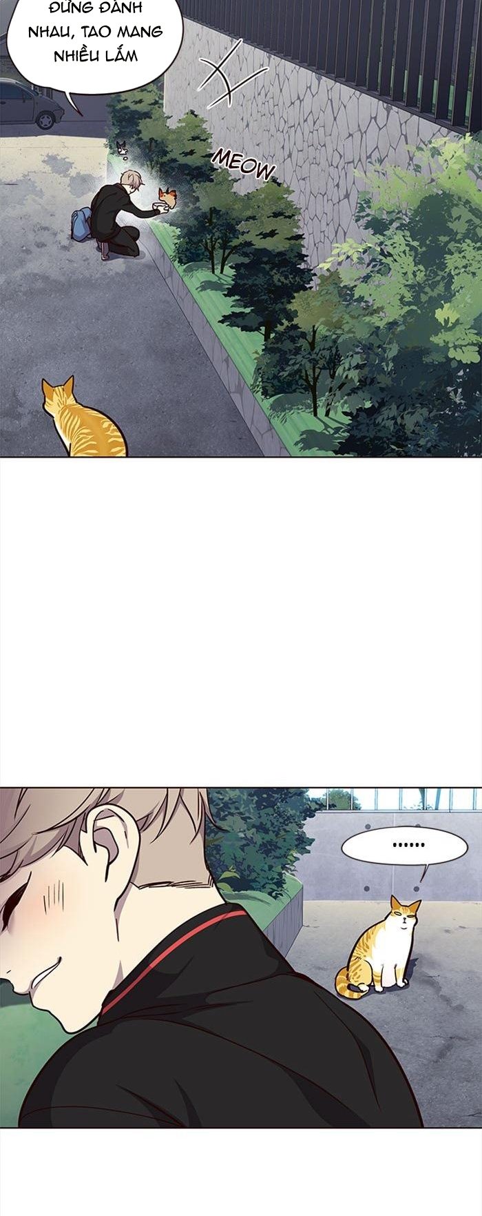 Đọc truyện Hoá thân thành mèo - Chap 36