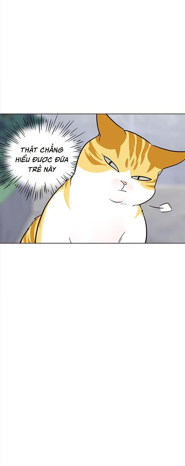 Đọc truyện Hoá thân thành mèo - Chap 36