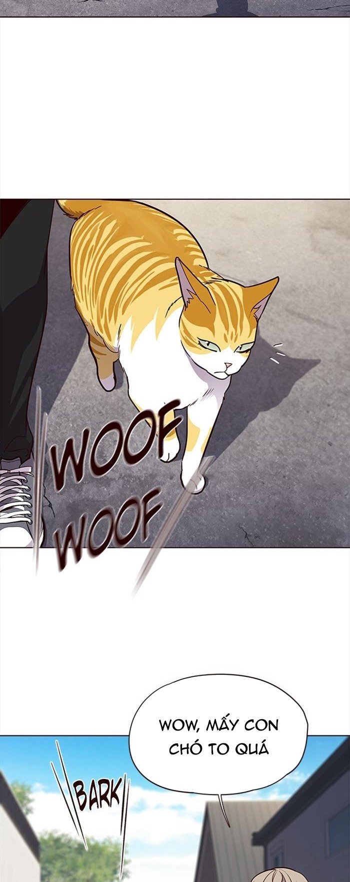Đọc truyện Hoá thân thành mèo - Chap 36
