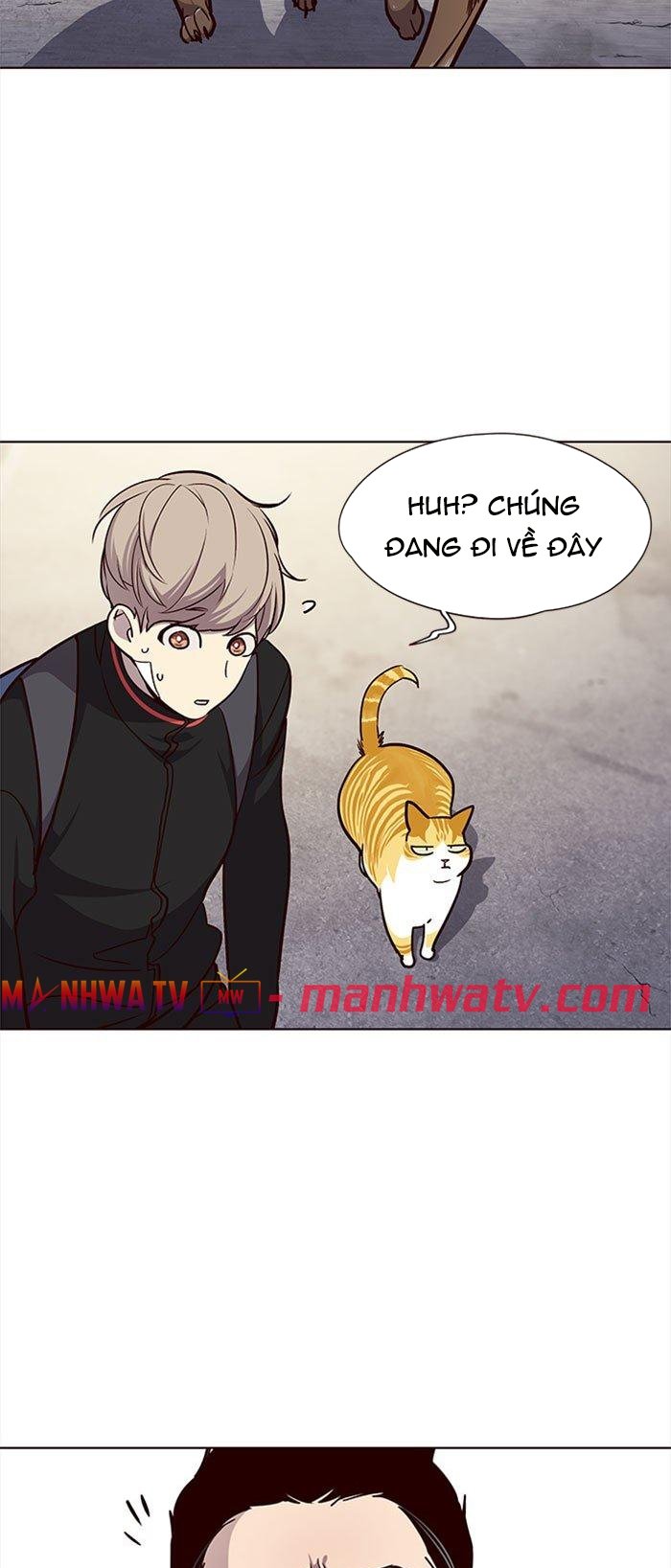 Đọc truyện Hoá thân thành mèo - Chap 36