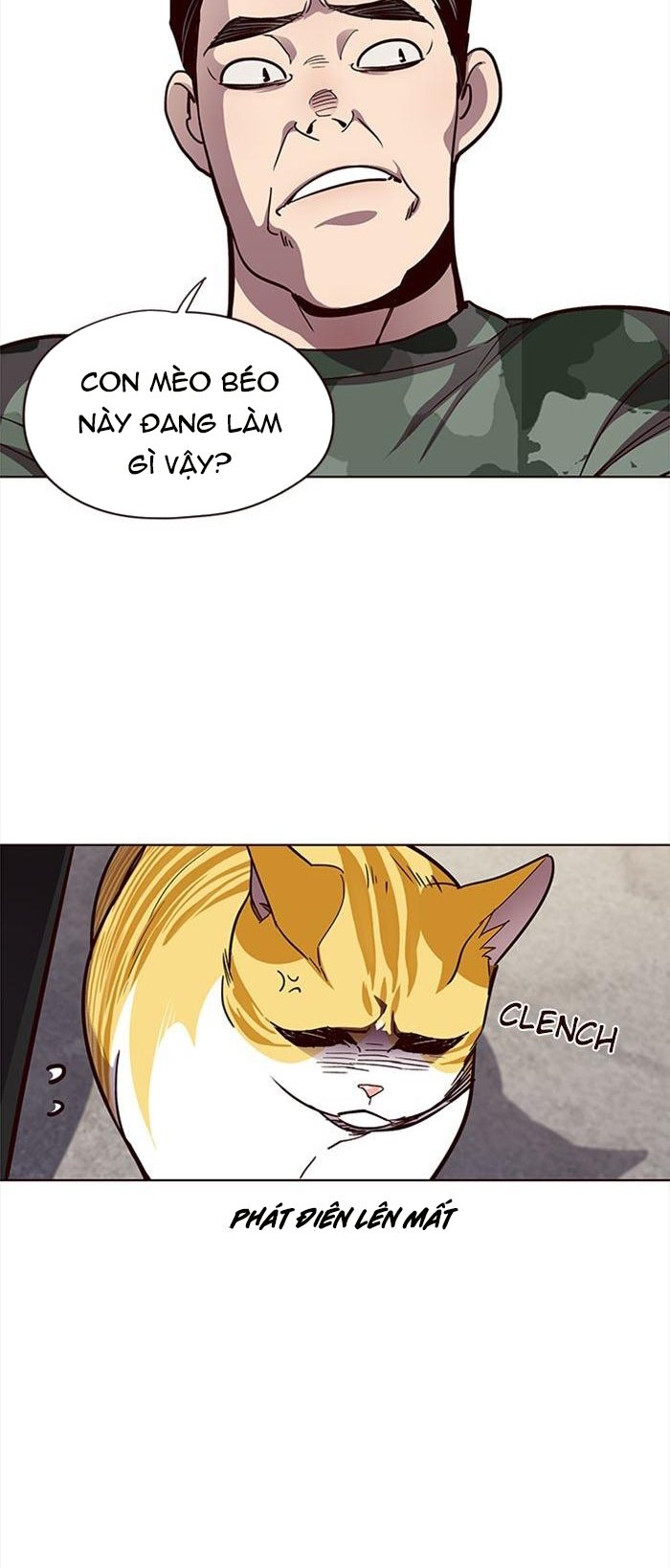 Đọc truyện Hoá thân thành mèo - Chap 36