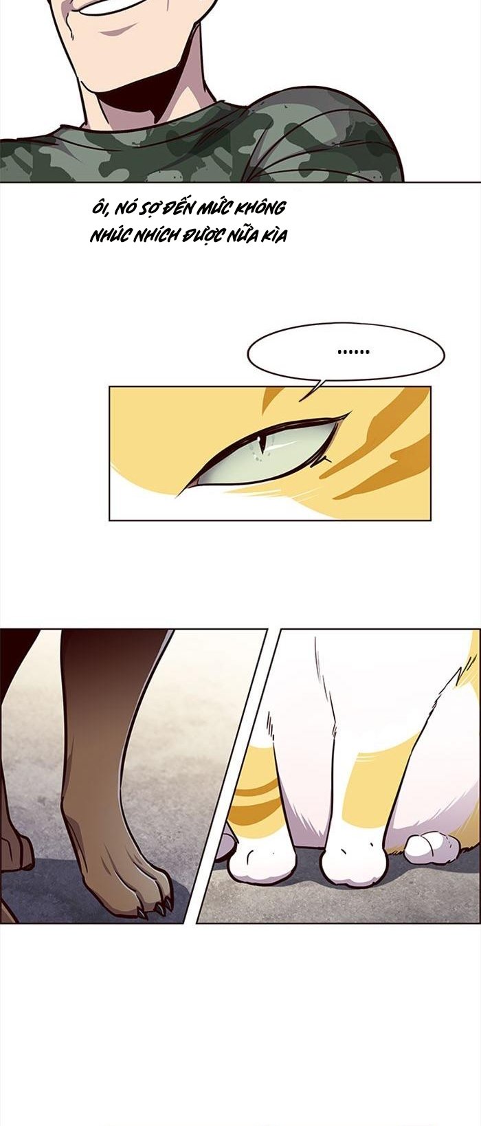 Đọc truyện Hoá thân thành mèo - Chap 36