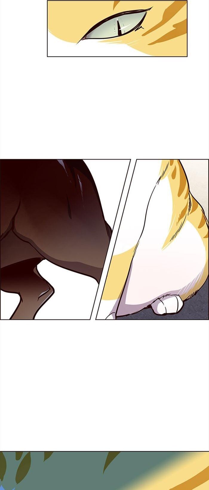 Đọc truyện Hoá thân thành mèo - Chap 36