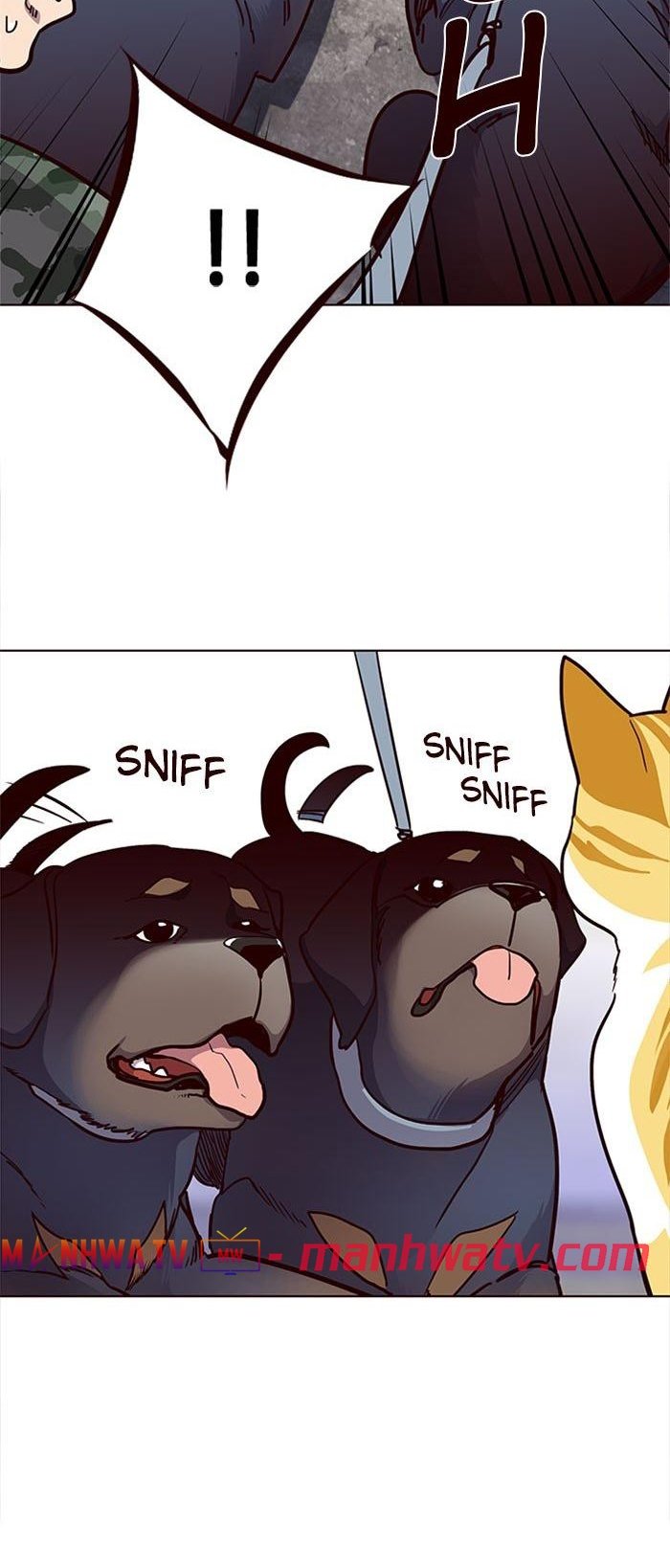 Đọc truyện Hoá thân thành mèo - Chap 36