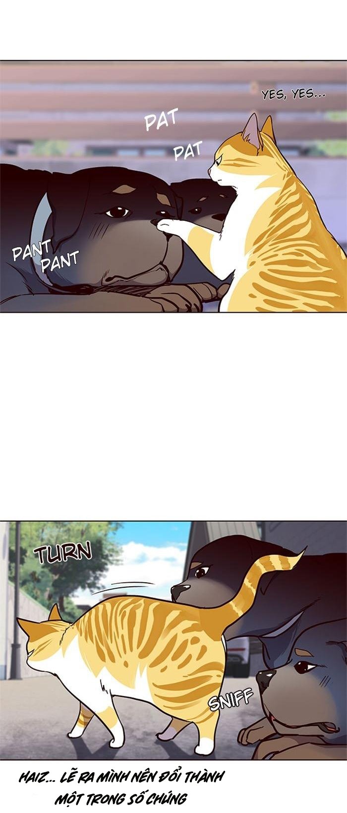 Đọc truyện Hoá thân thành mèo - Chap 36