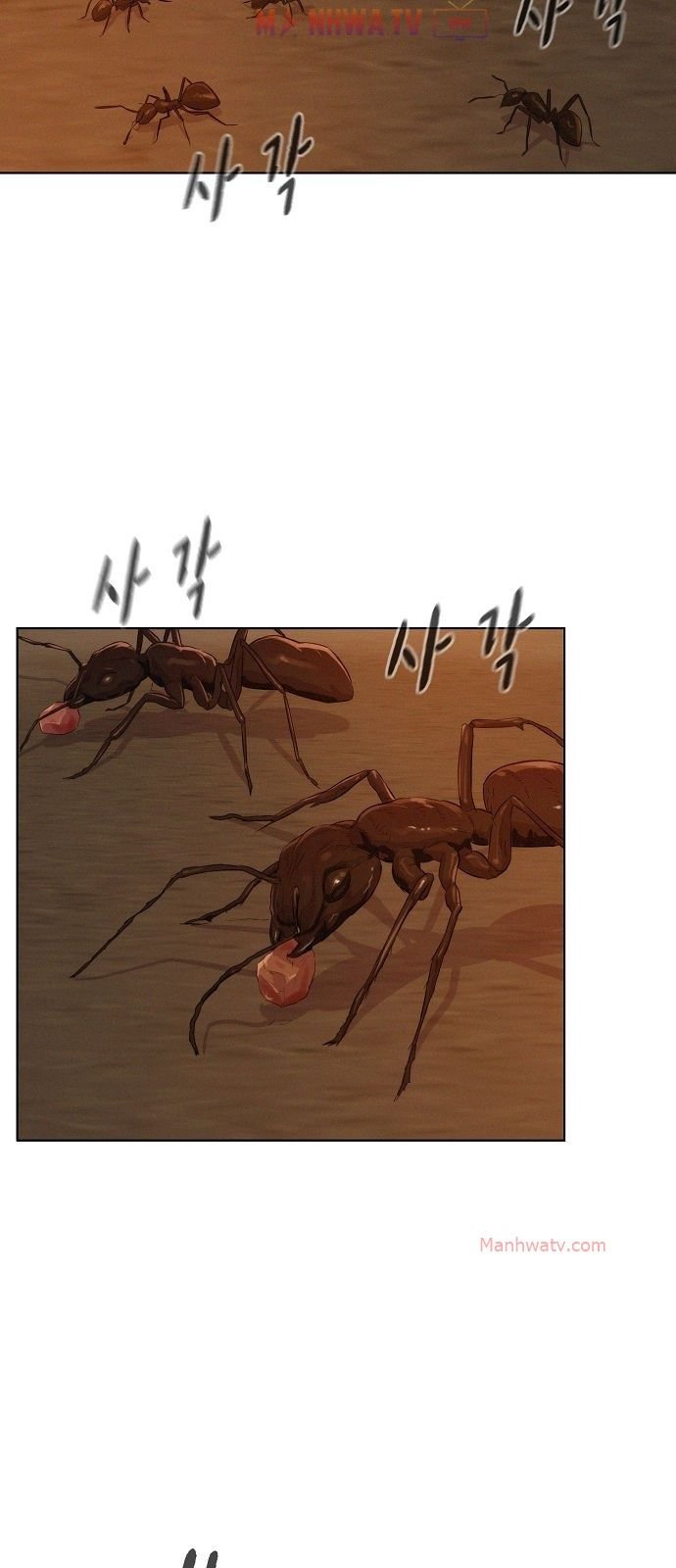 Đọc truyện Thợ săn 3cm - Chap 13